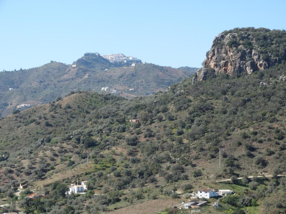 B&B Cortijo Loma Leon Cútar Kültér fotó