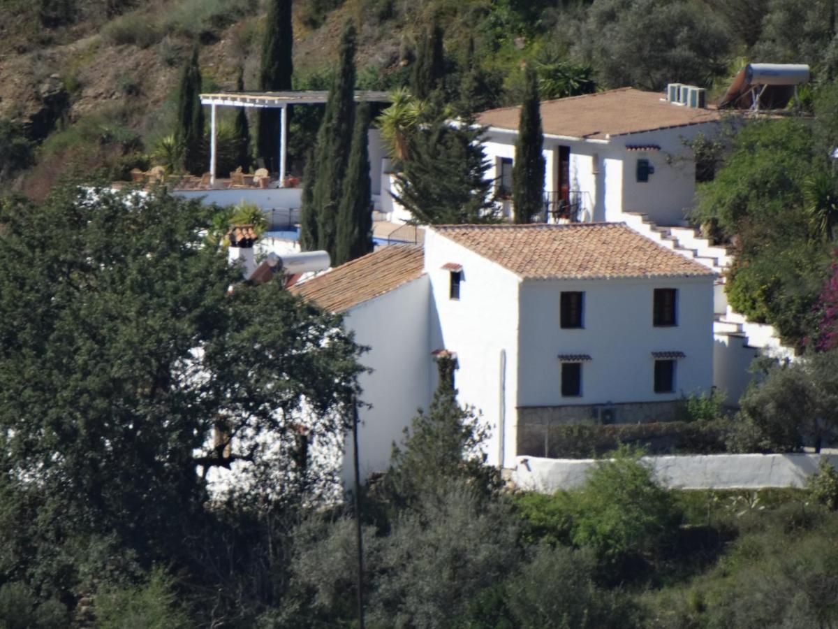 B&B Cortijo Loma Leon Cútar Kültér fotó