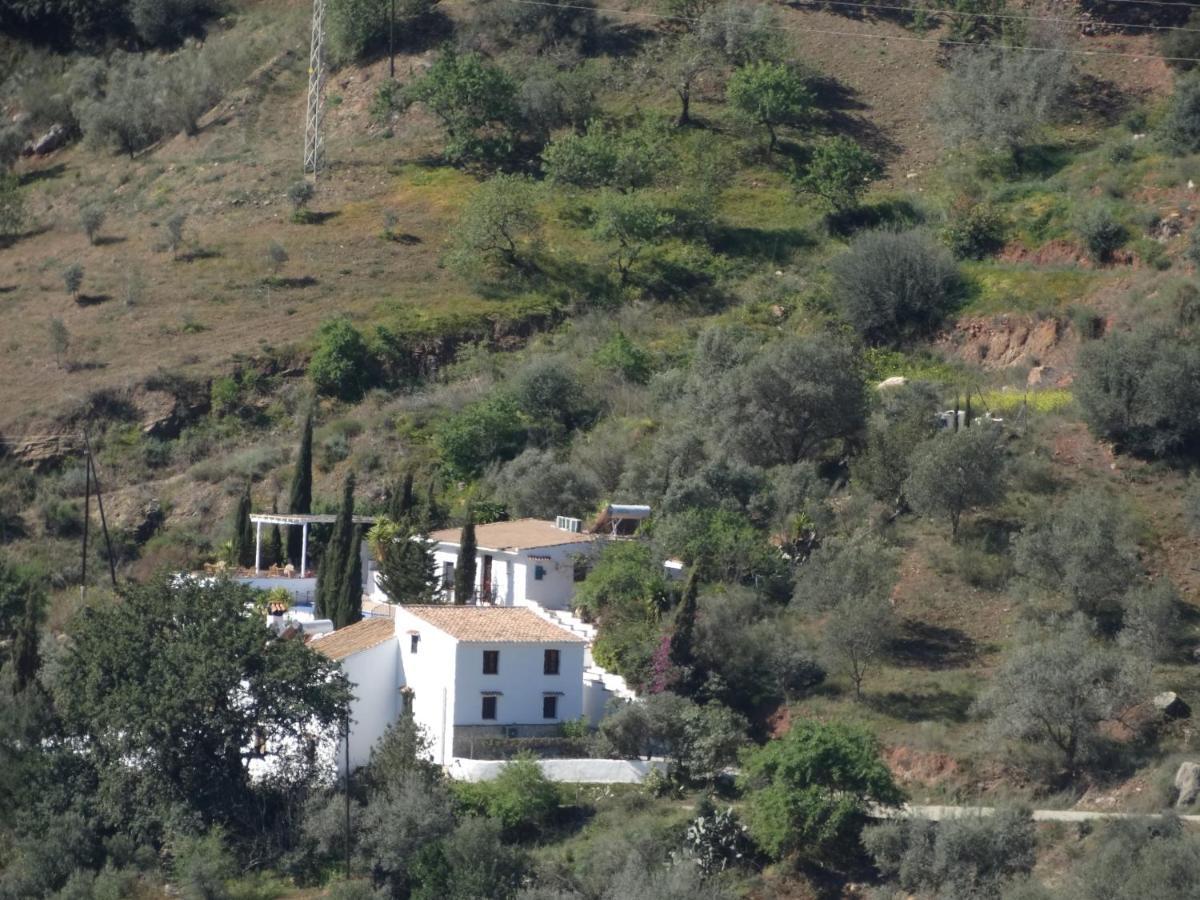 B&B Cortijo Loma Leon Cútar Kültér fotó
