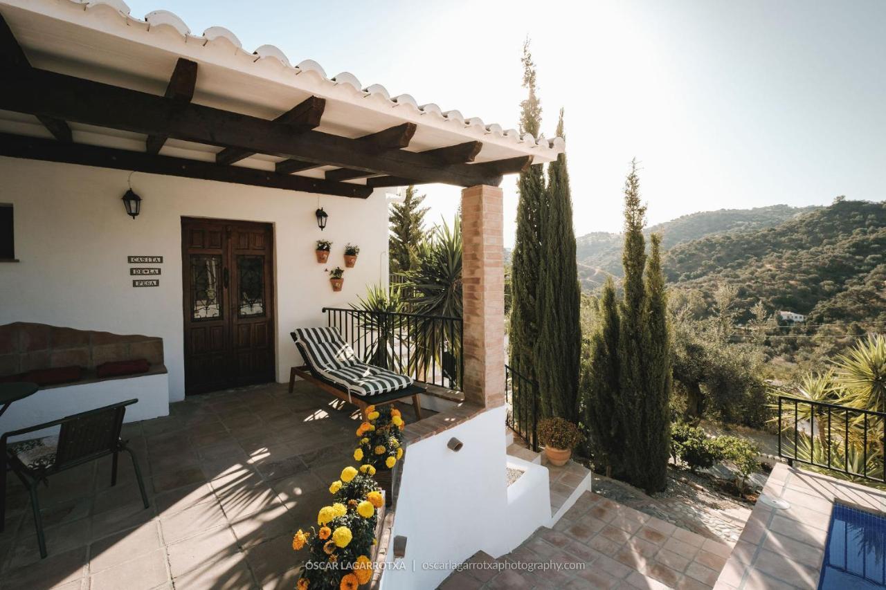 B&B Cortijo Loma Leon Cútar Kültér fotó