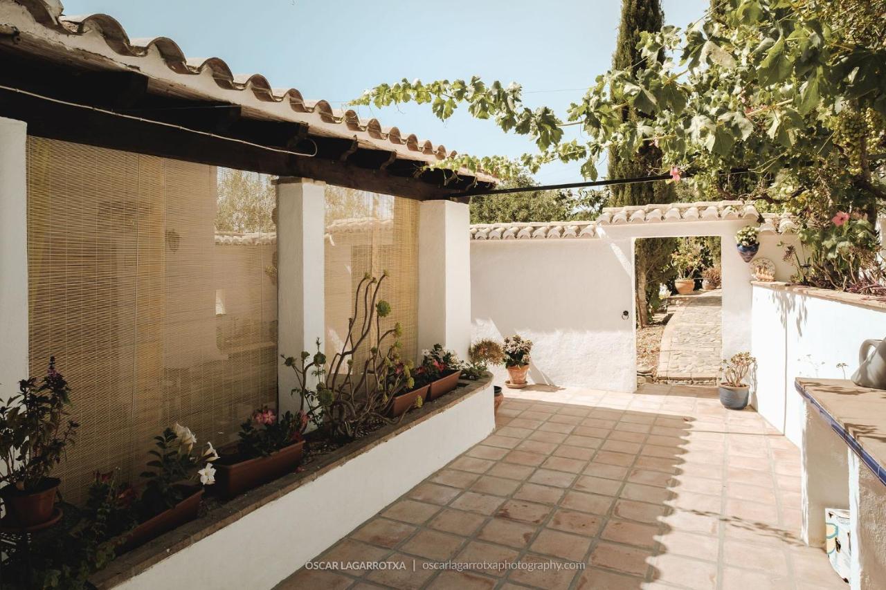 B&B Cortijo Loma Leon Cútar Kültér fotó