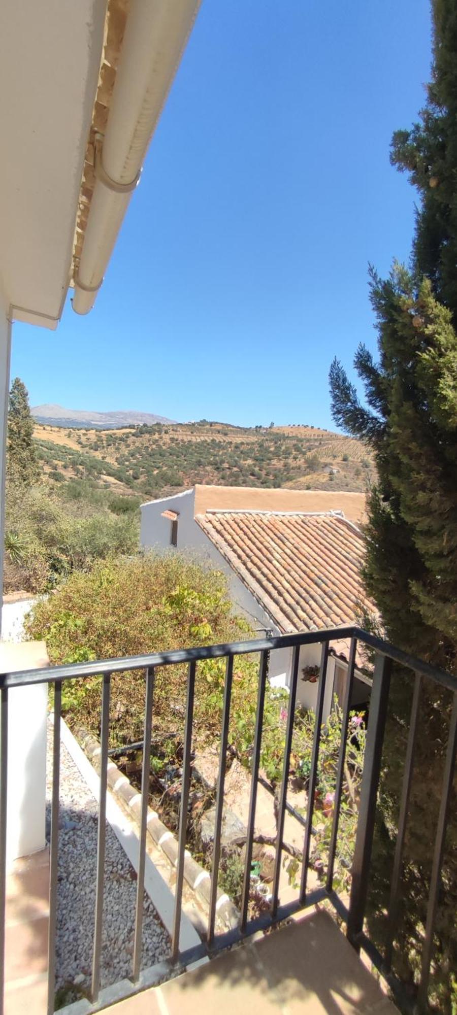 B&B Cortijo Loma Leon Cútar Kültér fotó